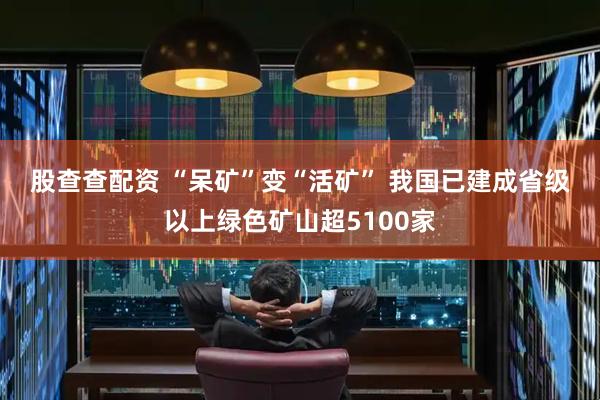 股查查配资 “呆矿”变“活矿” 我国已建成省级以上绿色矿山超5100家