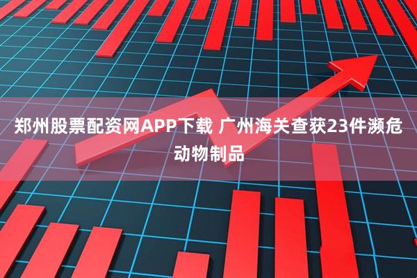 郑州股票配资网APP下载 广州海关查获23件濒危动物制品