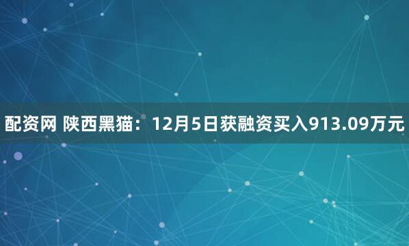 配资网 陕西黑猫:12月5日获融资买入913.09万元