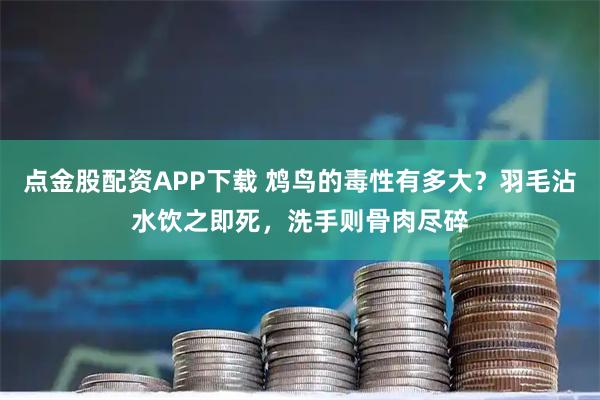 点金股配资APP下载 鸩鸟的毒性有多大？羽毛沾水饮之即死，洗手则骨肉尽碎
